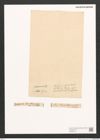 Diatomeae indet. Zeichnungen Sammlung Grunow (NHMW-BOT-W0368726)